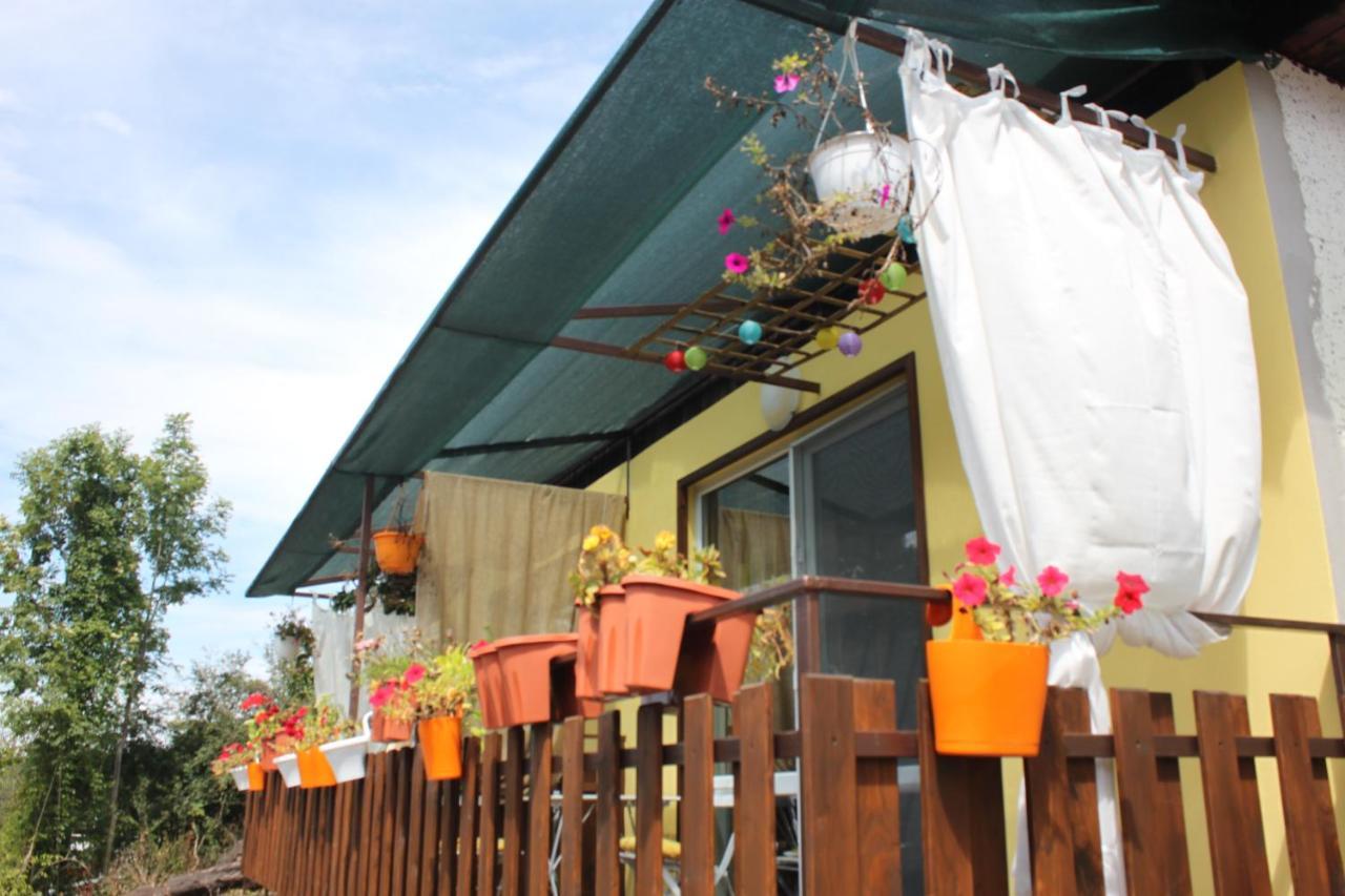 Daskalov Bungalows Chervena Lokva エクステリア 写真
